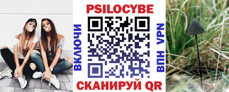 купить наркотик  Макушино  Галлюциногенные грибы Psilocybine cubensis 